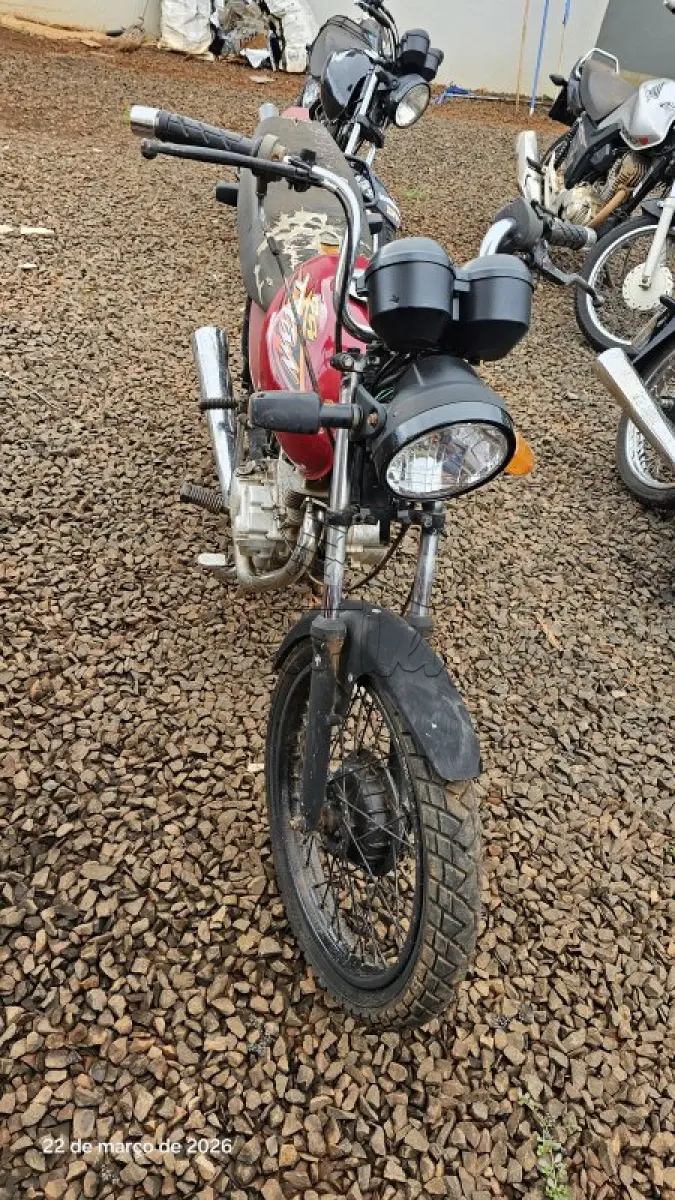 LOTE 0229