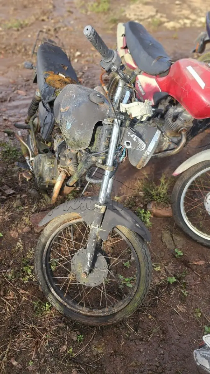 LOTE 0433
