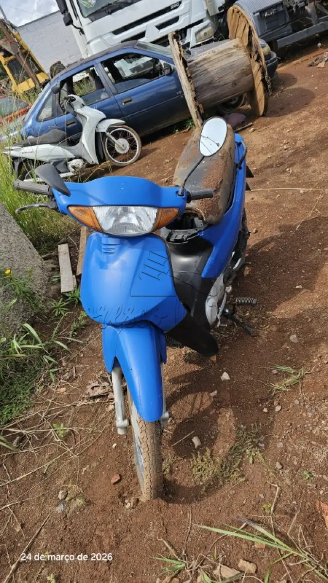 LOTE 0195