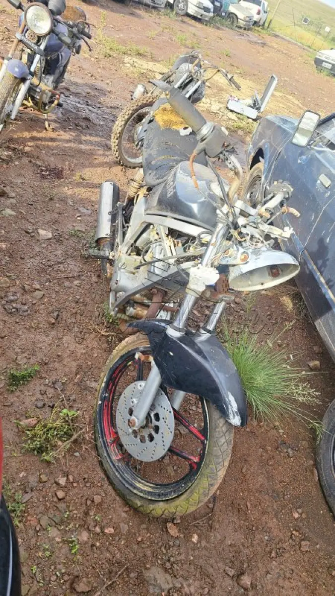 LOTE 0429