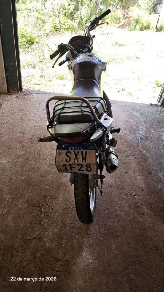 LOTE 0241