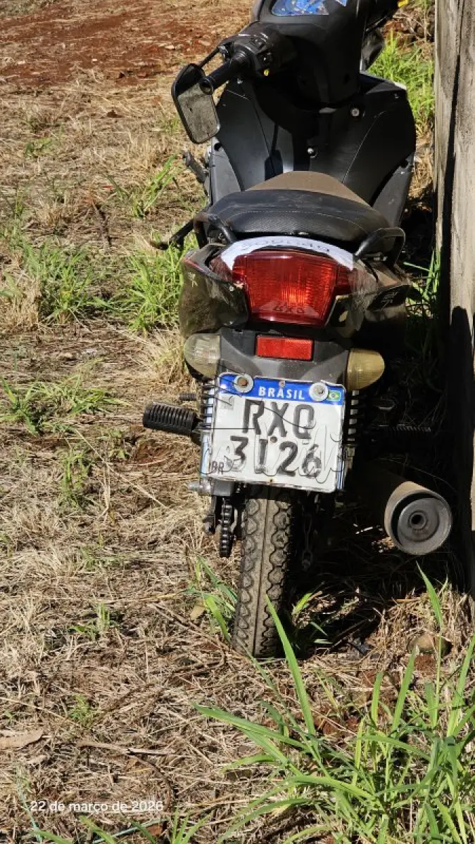LOTE 0242