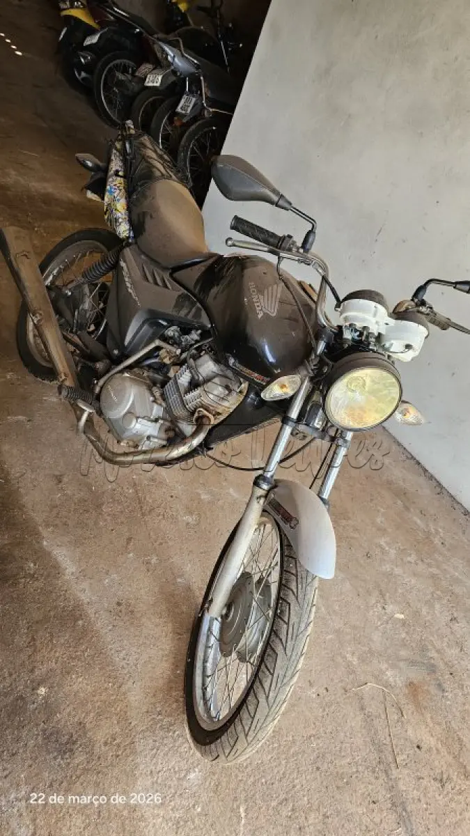 LOTE 0233