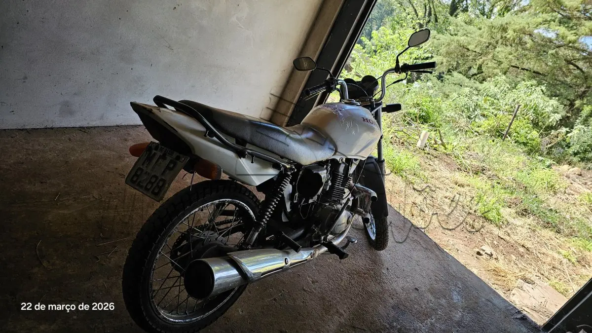 LOTE 0239