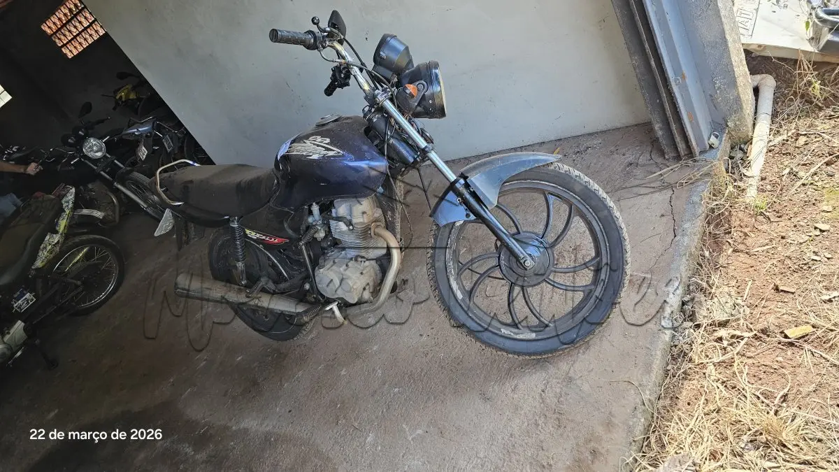 LOTE 0235