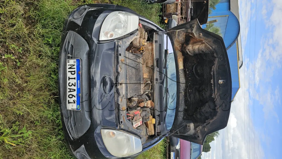 LOTE 0250