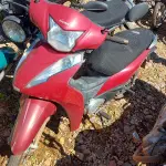 Foto 6