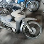 Foto 5