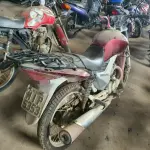 Foto 1