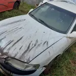 Foto 8