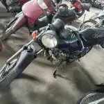 Foto 5