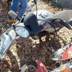 Foto 5