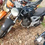 Foto 5