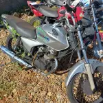 Foto 7