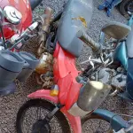 Foto 8