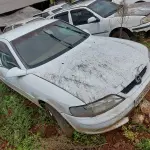 Foto 10