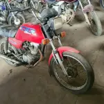 Foto 2
