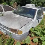 Foto 9