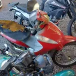 Foto 7