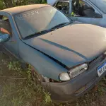 Foto 7