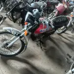 Foto 5