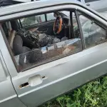 Foto 10