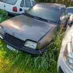 Foto 10
