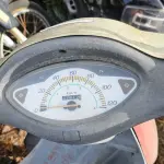 Foto 7