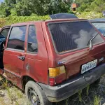 Foto 7