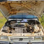 Foto 9