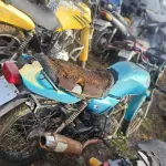 Foto 6