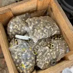 MATERIAL HIDRÁULICO COM DIVERSAS PEÇAS