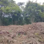 TERRENO RUA AUGUSTO MACHADO BRUSQUE - BAIRRO SOUZA CRUZ - 600,00 M²