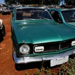 LOTE 0066