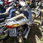 LOTE 0129