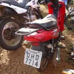 LOTE 0151
