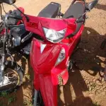 LOTE 0151