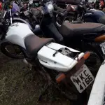 LOTE 0051