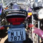 LOTE 0131