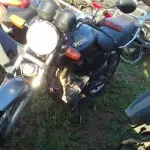LOTE 0053