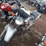 LOTE 0047