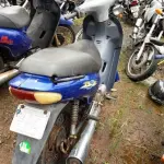 LOTE 0132