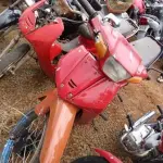 LOTE 0128