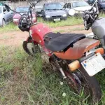 LOTE 0135