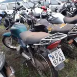 LOTE 0129