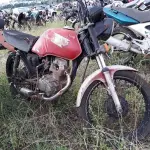 LOTE 0135