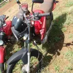 LOTE 0042