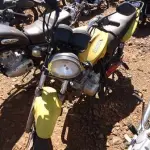 LOTE 0135
