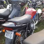 LOTE 0132