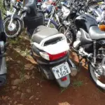 LOTE 0141